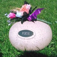 Sarah Reilly Photo 18