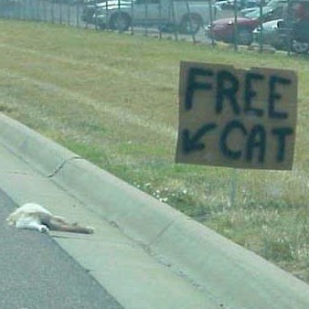 William Michel Photo 33