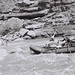 Jessie Marshall Photo 11
