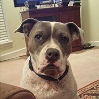 Sally Bloom Photo 14