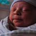 Joseph Perkins Photo 19