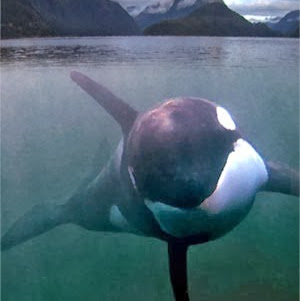 Maggie Gruber Photo 10