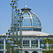 Lewis Schneider Photo 9