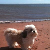 Brenda Webber Photo 28