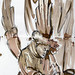 Angel Levitt Photo 13
