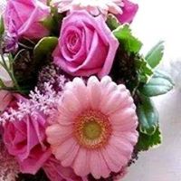 Sahar Odeh Photo 5