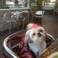 Mary Fogarty Photo 16