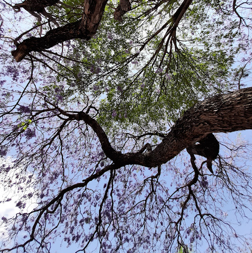 Bryan Daniel Photo 35 Bryan Daniel Photo 35