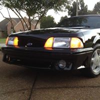 Phillip Norris Photo 17