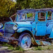 Terry Nash Photo 10