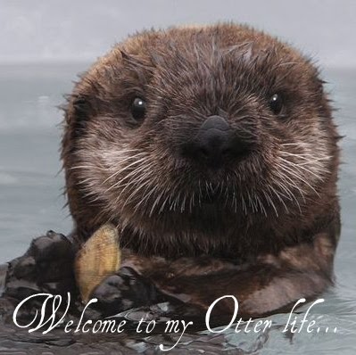 Kate Carpenter Photo 28