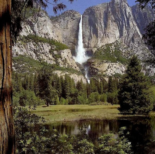 Maurice Robertson Photo 9