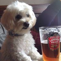 Jeanette Allen Photo 12