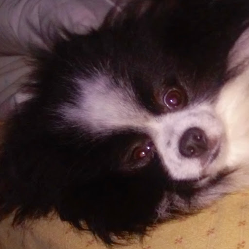 Michele Carter Photo 36