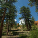 Bryce Jorgensen Photo 11