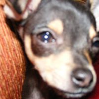 Kathryn Camp Photo 15