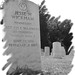 Jesse Wickham Photo 9