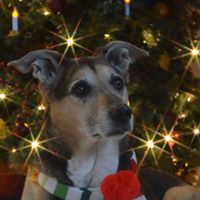 Rebecca Whalen Photo 12