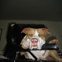 Nels Jensen Photo 18