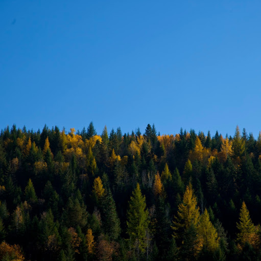 Sean Macpherson Photo 28