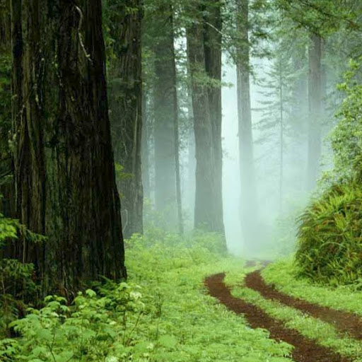 Ricky Johnston Photo 12