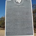 Mary Chaddock Photo 3