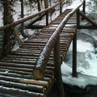Connie Schofield Photo 3