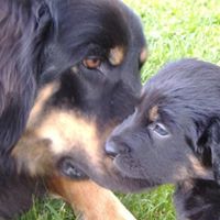 Mary Connors Photo 17