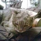 Jill Rosenthal Photo 18