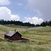 Edward Trout Photo 7