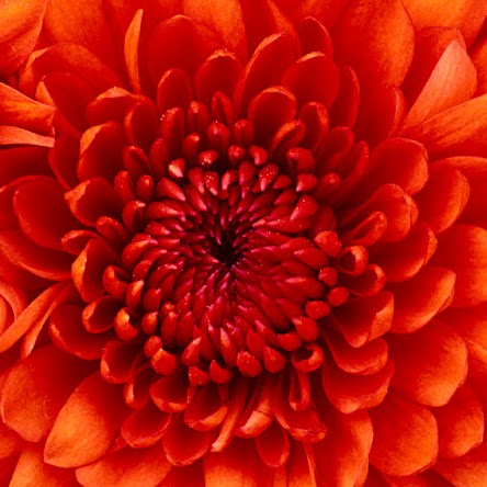 Mohammed Umar Photo 20