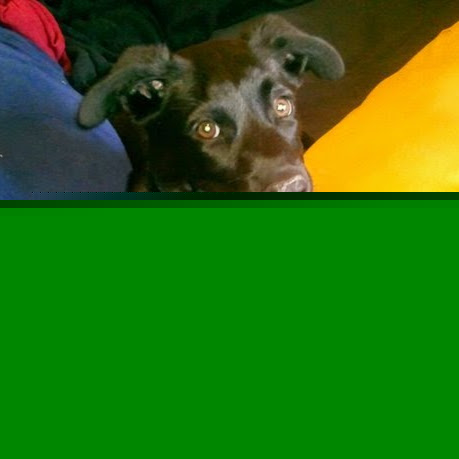 Kimberly Childers Photo 17