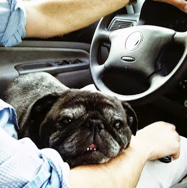 Daniel Grady Photo 19