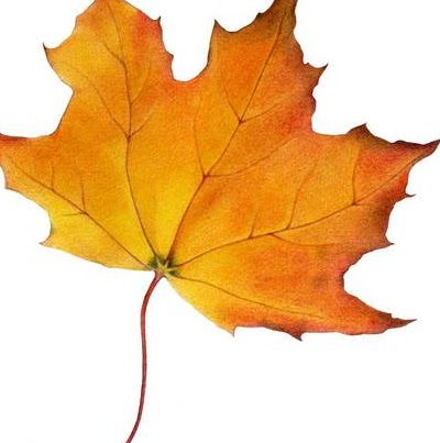 Gail Kim Photo 19 Gail Kim Photo 19