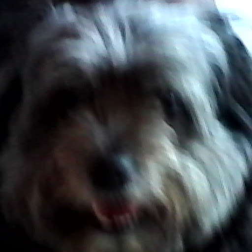 Julie Lange Photo 29