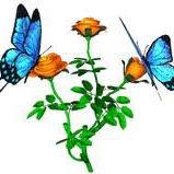 Janice Hutchison Photo 11