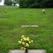 Elizabeth Wiley Photo 2