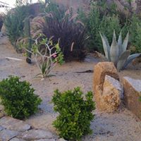 Pamela Fortin Photo 12