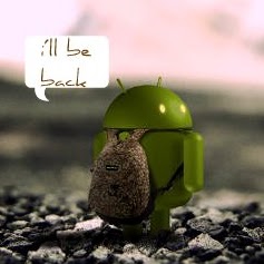 Steve Tsang Photo 26