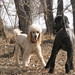 Connie Hinds Photo 12