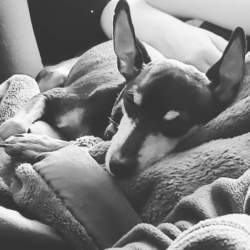 Susan Hoffman Photo 27 Susan Hoffman Photo 27