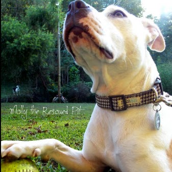 Molly Townsend Photo 28