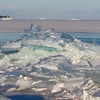 Sharon Crawford Photo 8