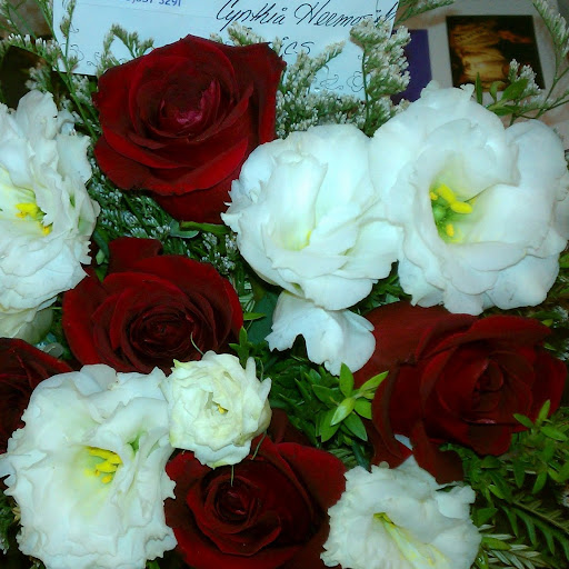 Cynthia Fierro Photo 5