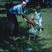 Charlie Rhoades Photo 21