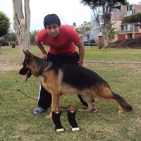 Raul Villena Photo 6