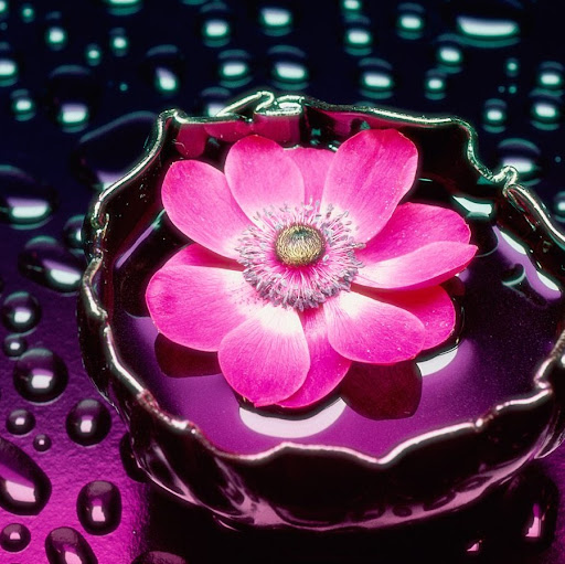 Rosa Jimenez Photo 18