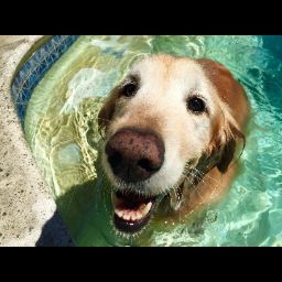 Jennifer Potter Photo 10