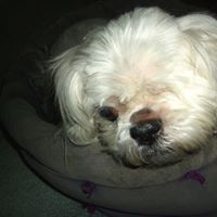 Paula Burgess Photo 22 Paula Burgess Photo 22