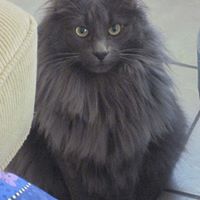 Jordan Weber Photo 24